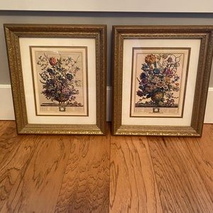 Rob Furber Flower Of The Month February & March